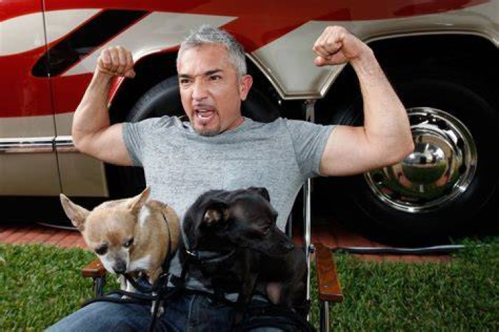How Much Does Cesar Millan Make On YouTube