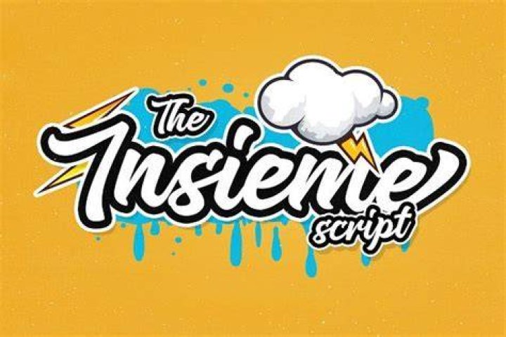 Insieme Script Font Script fonts, Typeface, Script typeface