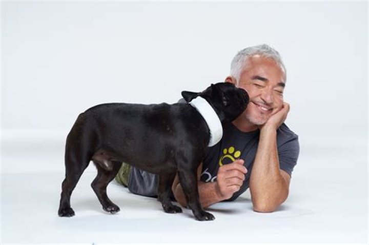 Where Does Cesar Millan Reside?